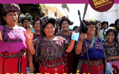 Celebrando 5 años de fortaleza. Informe Anual 2014