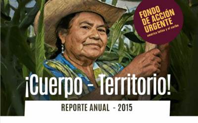 ¡Cuerpo – Territorio! Informe Anual 2015