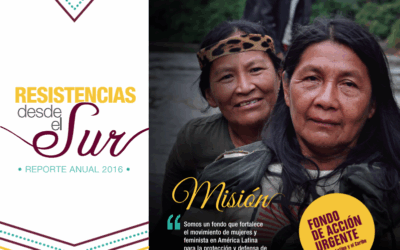 Resistencias desde el sur. Informe Anual 2016
