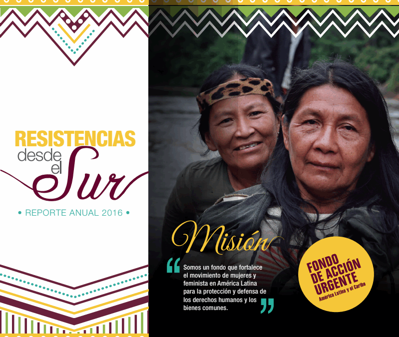 Resistencias desde el sur. Informe Anual 2016