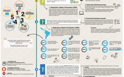 Proceso metodológico y resultados del Mapeo Discapacidad y Feminismos