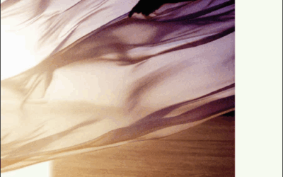 ¿Qué sentido tiene la revolución si no podemos bailar?