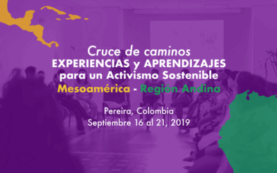 Cruce de caminos: Experiencias y Aprendizajes para un Activismo Sostenible