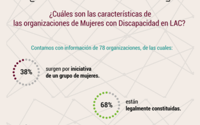 Características de las organizaciones de mujeres con discapacidad