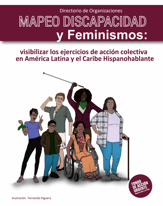 Directorio de Organizaciones del Mapeo Feminismos y Discapacidad.