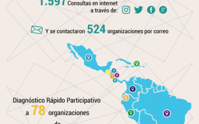 Consultas realizadas en el mapeo discapacidad y feminismos