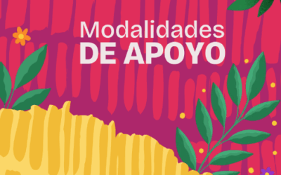 Modalidades de Apoyo