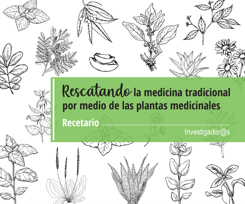 Rescatando la medicina tradicional por medio de las plantas medicinales.