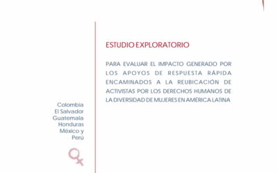 Sistematización sobre re-ubicación de activistas por los derechos humanos de la diversidad de mujeres en América Latina