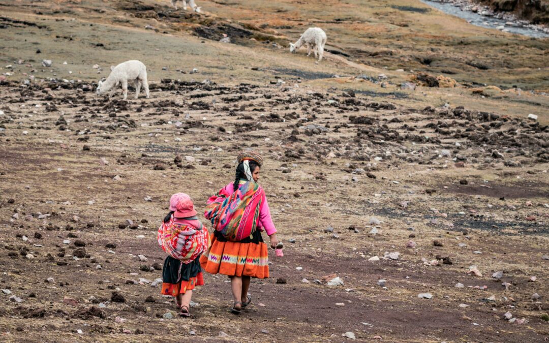 Criterios y preguntas frecuentes sobre los apoyos FAU LAC