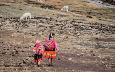 Criterios y preguntas frecuentes sobre los apoyos FAU LAC